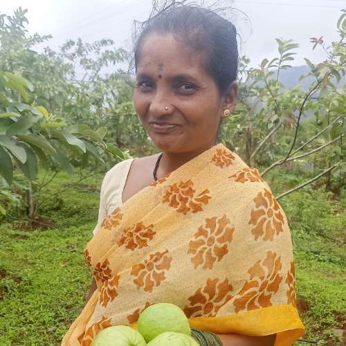 Elrohe Farmer 1